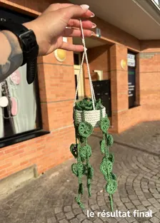 Plante décorative au crochet pour maison ou bureau