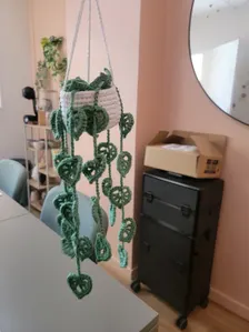 Plante suspendue au crochet faite main avec pot personnalisé
