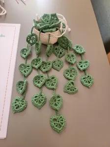 Plante suspendue au crochet inspirée de la chaîne de cœurs